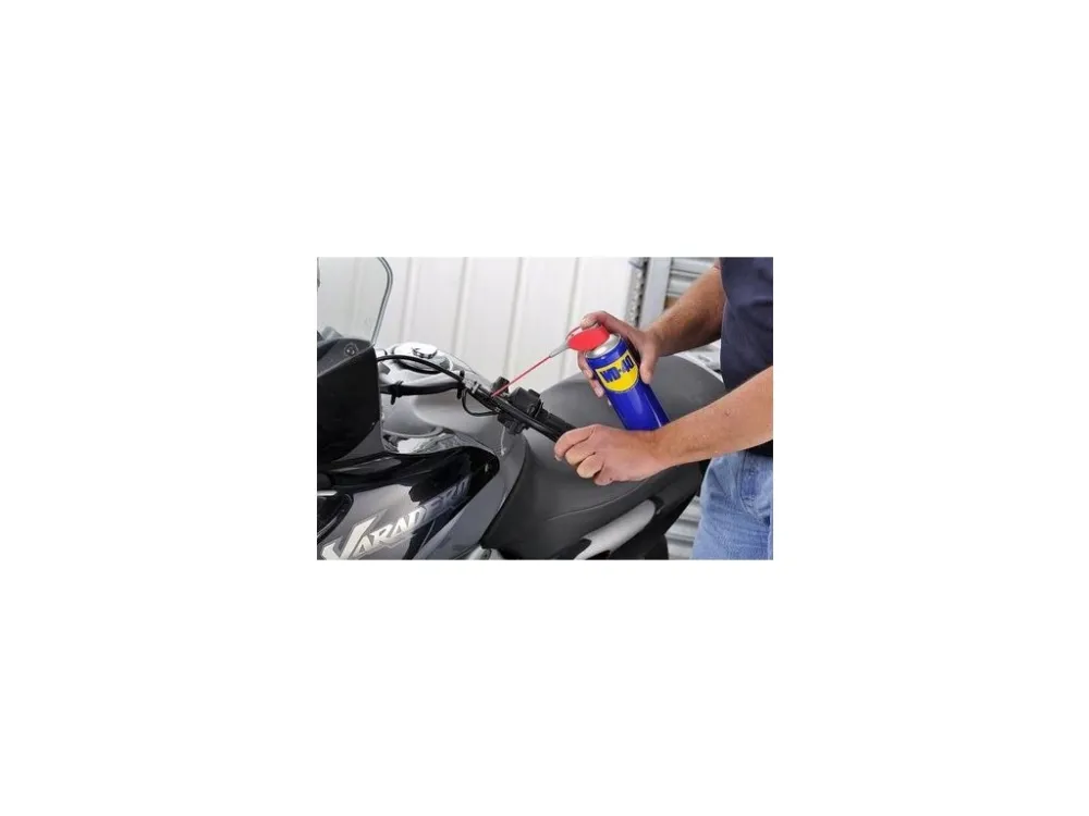Jen Po Omezenou Doba Univerzální mazivo proti korozy a rzi WD-40 250 ml