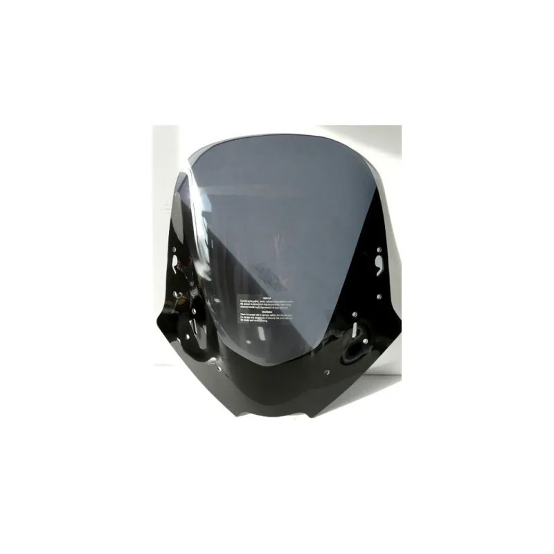 HONDA CBF 1000 2006-2009 - Plexi standard Oblíbený